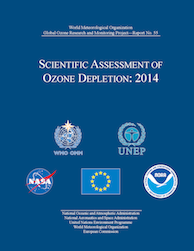Scientific Assessment of Ozone Depletion
