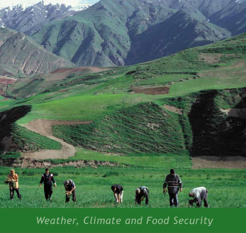 Weather, Climate and Food Security