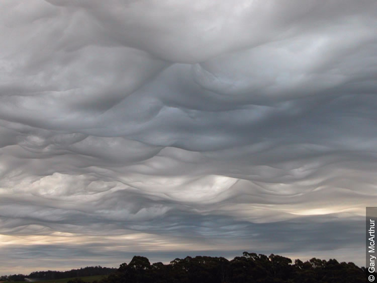 Asperitas