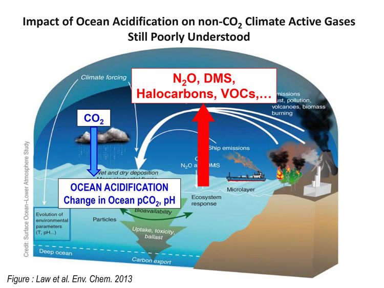 impact of ocean acidification on non-CO2 fluxes