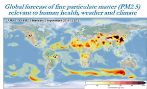 Global forecast of fine particulate matter (PM2.5) relevant to human health, weather and climate