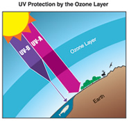 How the ozone layer protects against harmful ultraviolet radiation from the sun