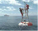 buoy