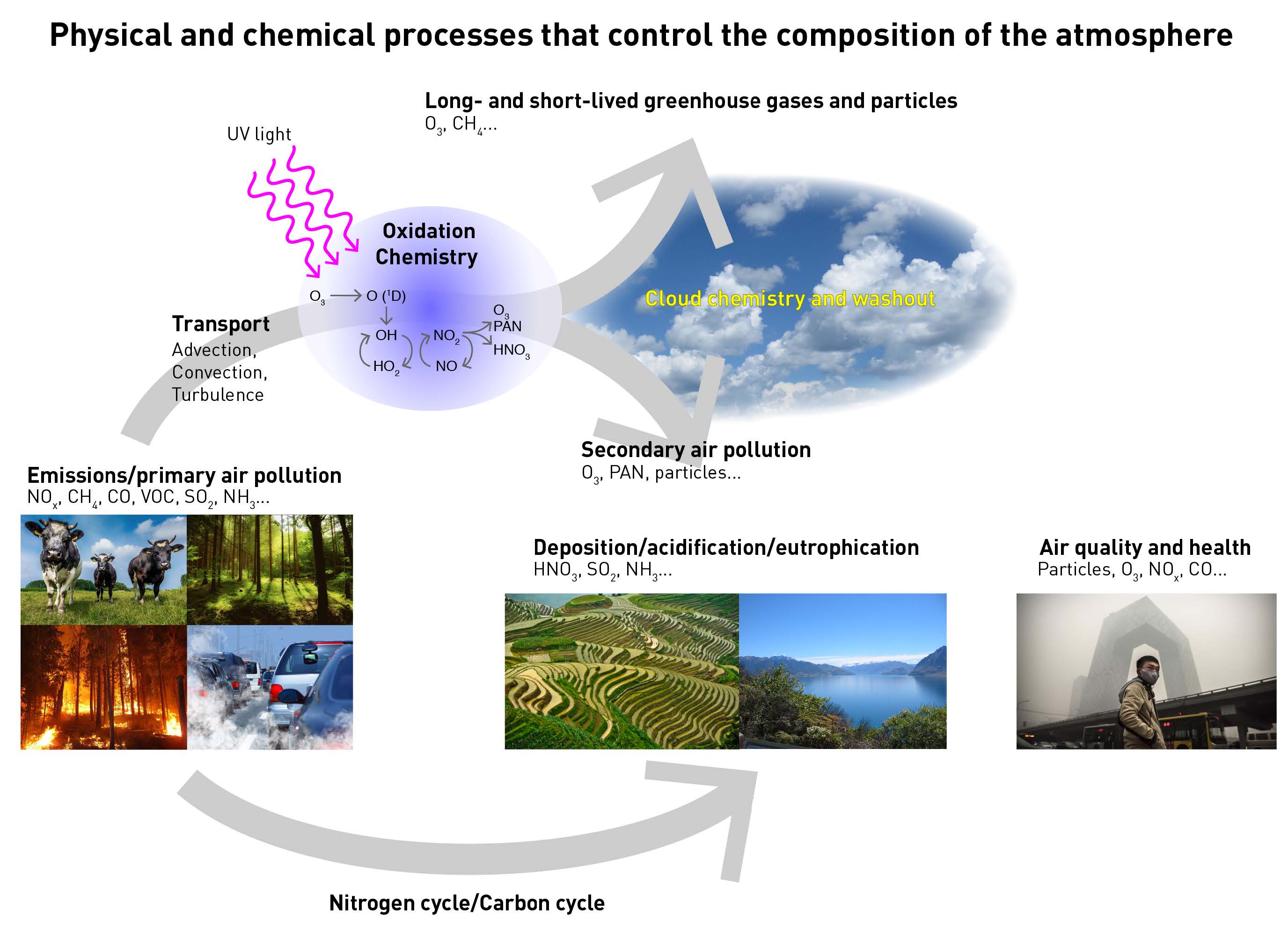 Physical and chemical processes that control the composition of the atmosphere on different scales