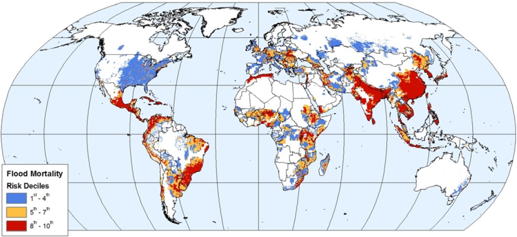 Global Distribution of Flood Risk (Mortality)