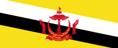 brunei flag