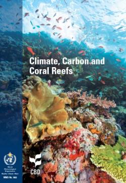 Climate, Carbon and Coral Reefs