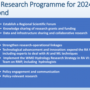 RA VI Research Programme for 2024-2025
