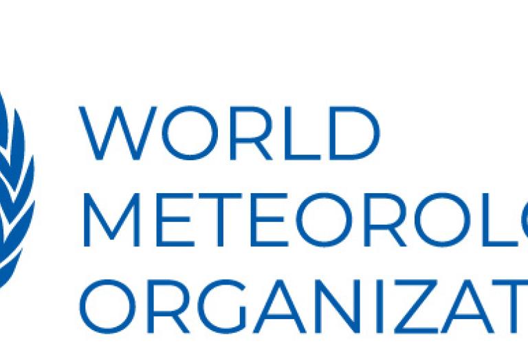 World Meteorological Organization logo with a globe, map grid, yellow star, olive branches, and blue text on a white background.