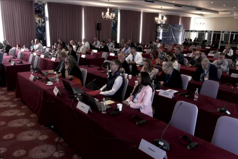 Delegates seated at rows of tables with maroon tablecloths during an international conference.