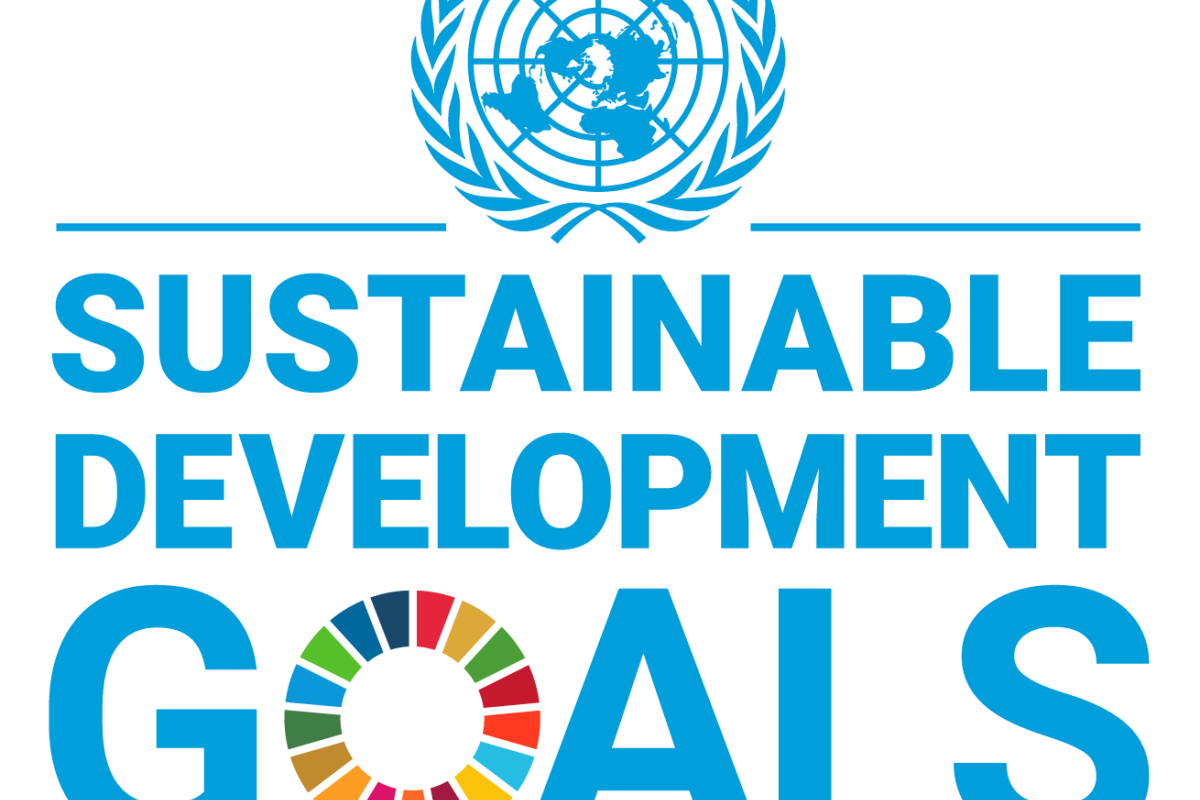 UN Sustainable Development Goals logo (square)