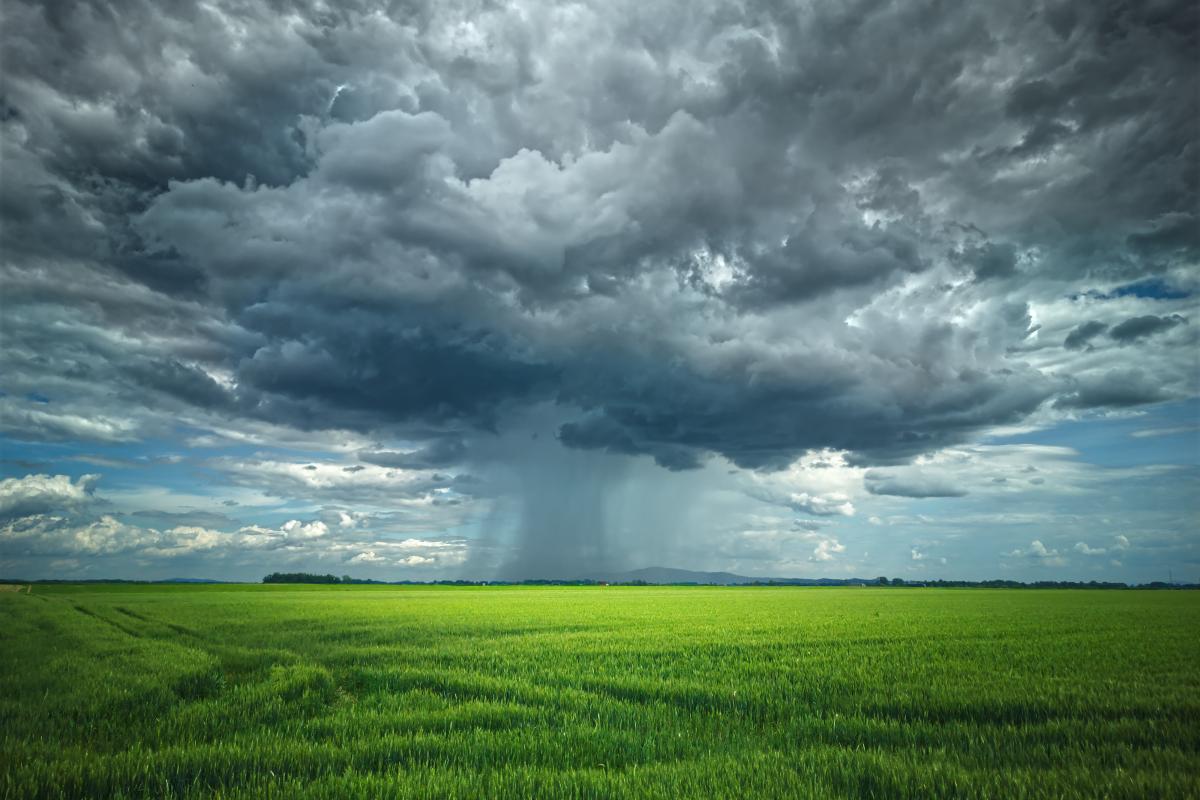 Dark storm clouds gather over a green field, with rain visibly falling in the distance under the cloudburst.