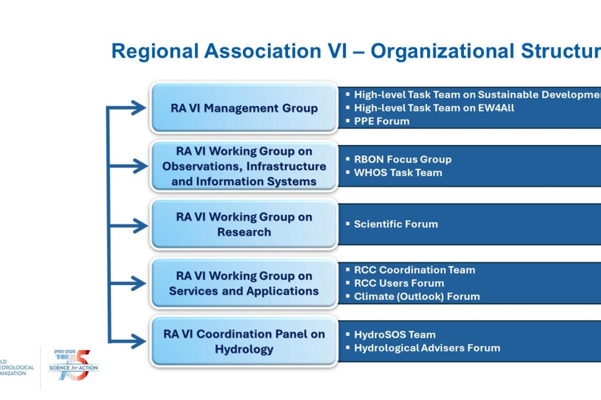 Organizational chart showing groups and forums under the RA VI