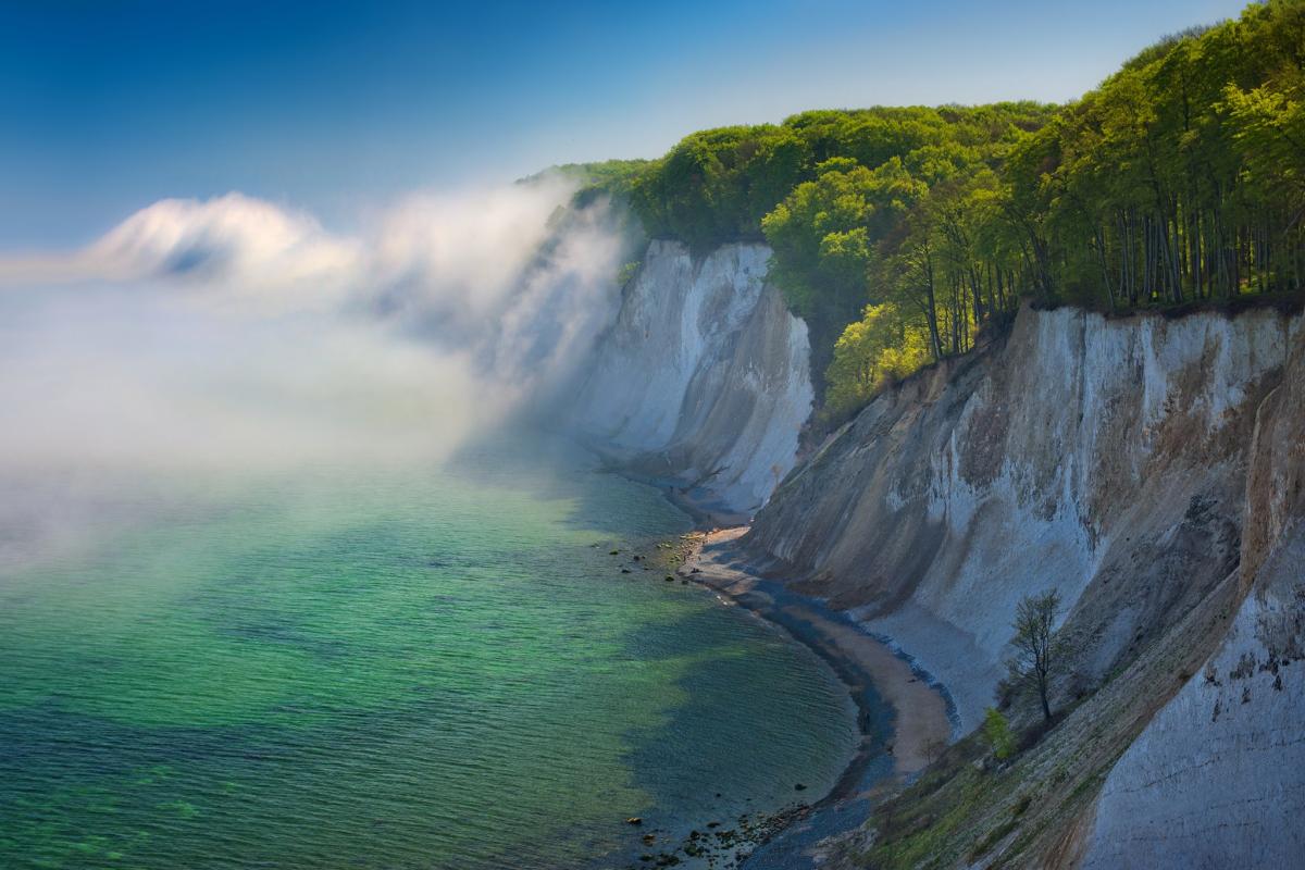 White chalk cliffs border a turquoise sea with a narrow beach below; mist drifts over the cliffs and a forest grows at the top under a clear blue sky.