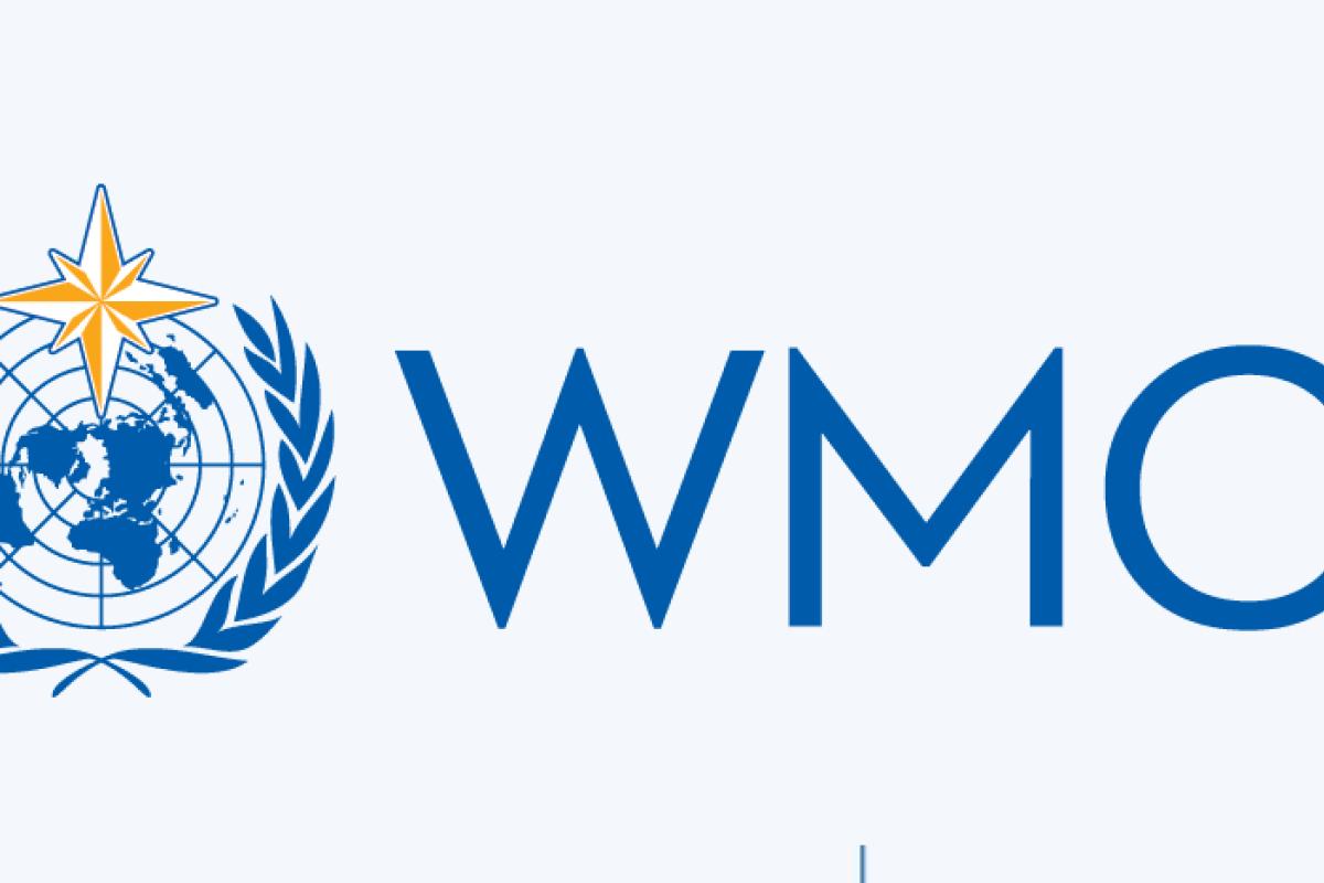 WMO logo featuring a globe, laurel branches, a weather symbol, and the acronym "WMO" in blue text on a light background.