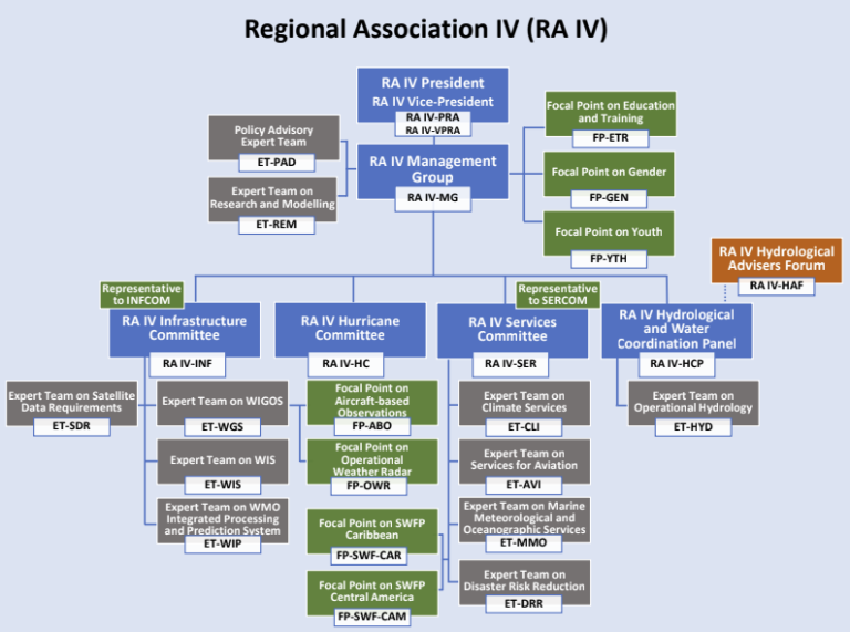 Organizational chart of Regional Association IV, showing the management group, various committees, expert teams, and focal points.