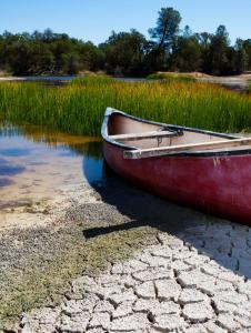 A boat on the shore of a lake.