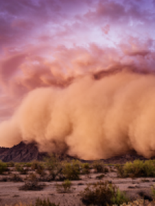 A large dust storm moves across a desert landscape with shrubs, under a dramatic purple and pink sky.