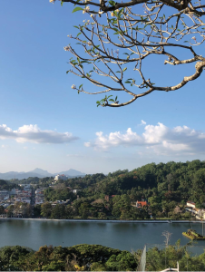 A view of a lake bordered by a town and dense green hills, with tree branches and leaves in the foreground under a clear blue sky.