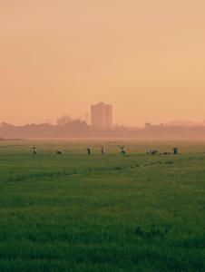 People work in a green field at sunset with tall buildings visible in the distant background under an orange sky.
