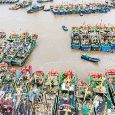 Aerial view of numerous fishing boats tightly clustered together in a harbor with muddy water.